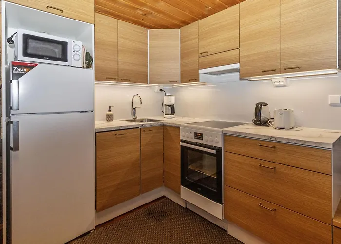 Sallanhelmi C1 By Interhome 度假居 *