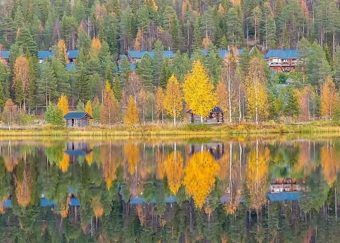 Sallanhelmi C1 By Interhome